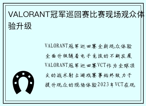 VALORANT冠军巡回赛比赛现场观众体验升级