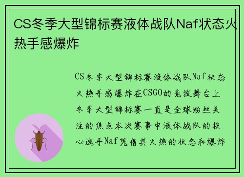 CS冬季大型锦标赛液体战队Naf状态火热手感爆炸
